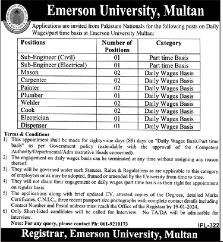 Emerson University Multan Jobs 2024