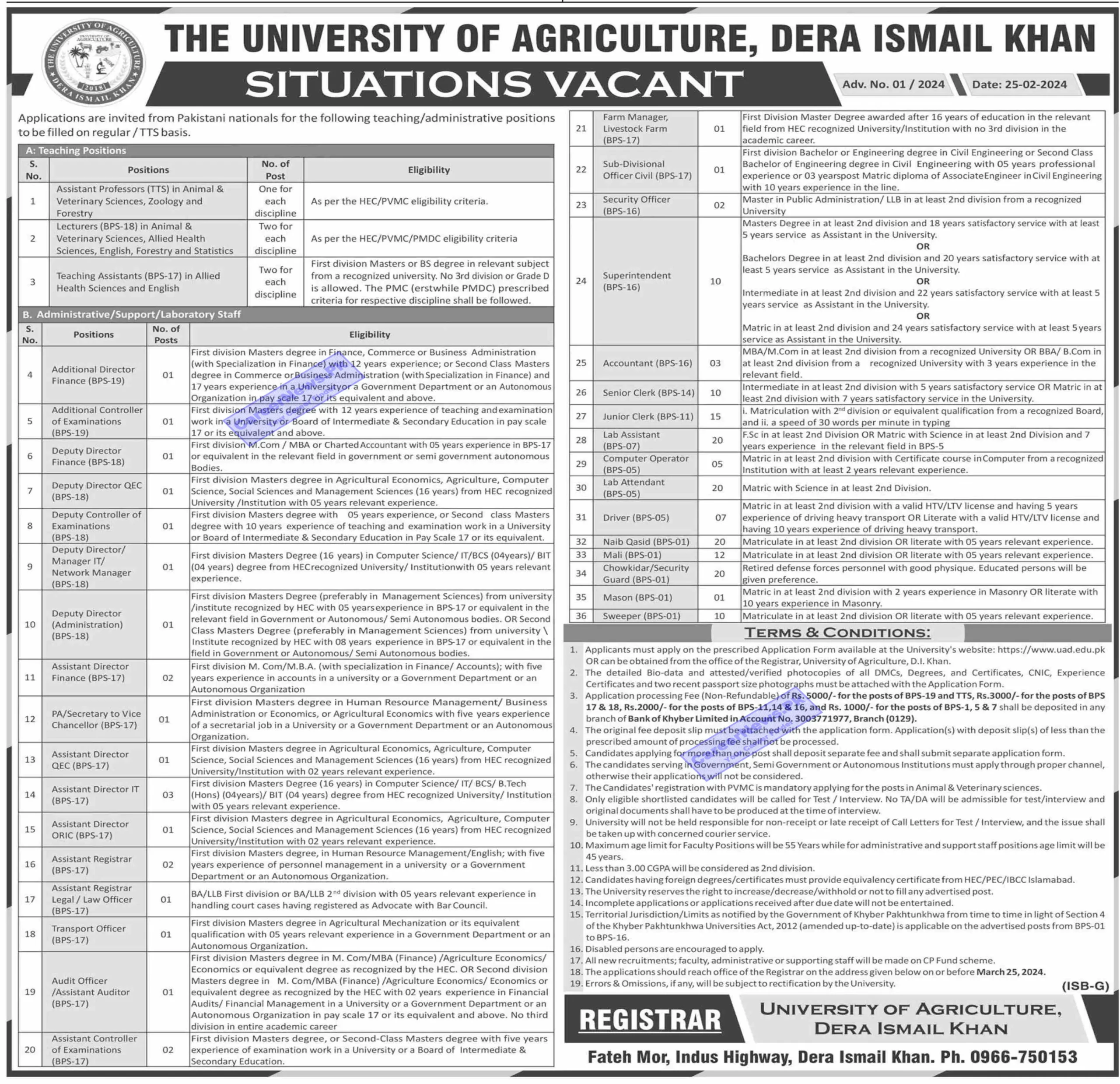 The University of Agriculture Dera Ismail Khan Jobs 2024