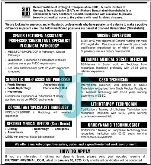 SIUT & BIUT Jobs 2025 Advertisement