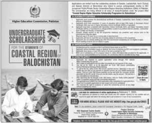 HEC Undergraduate Scholarship 2025 Advertisement