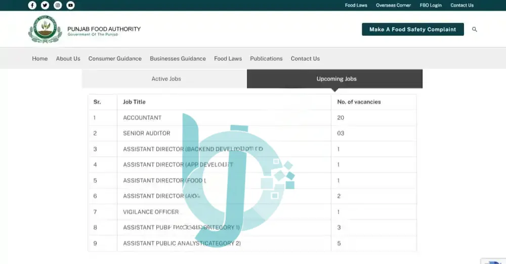 Punjab Food Authority Jobs 2025 Advertisement