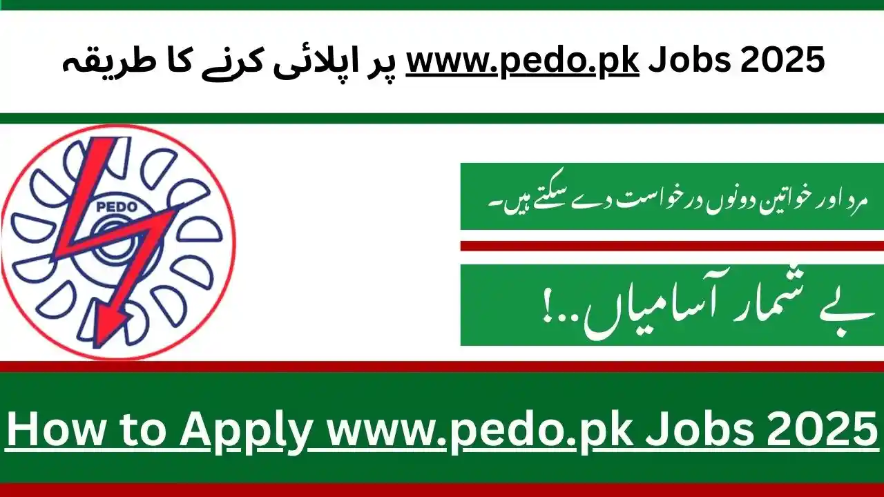 How to Apply www.pedo.pk Jobs 2025
