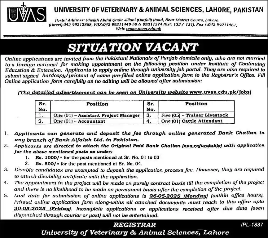 UVAS Jobs 2025 Latest Advertisement